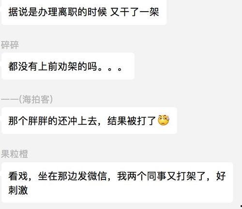 吃瓜群众的视频大全,揭秘娱乐圈幕后故事
